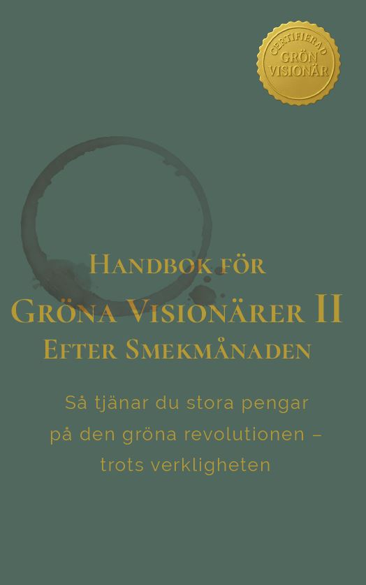 Handbok för Gröna Visionärer II – Efter Smekmånaden